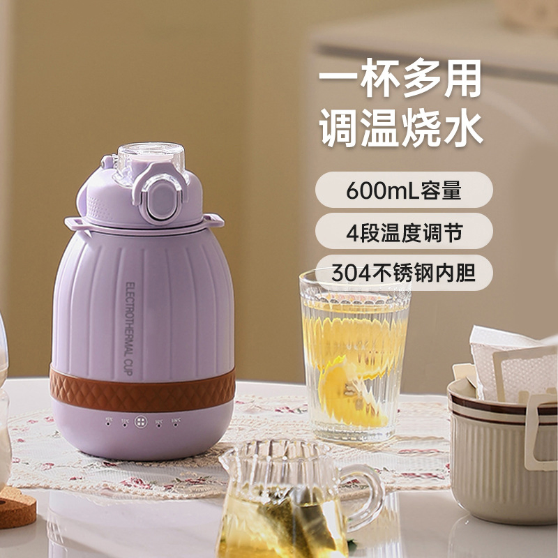 Electric Hot Portable Boiling Water Cup Travel Heated Kettle Outdoor Small Electric Cooking Cup