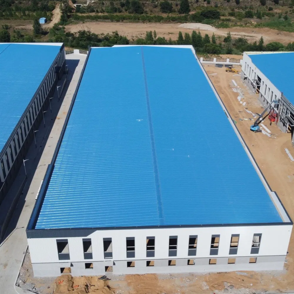 Large Span Competitive Price Prefabricated Steel Workshop
