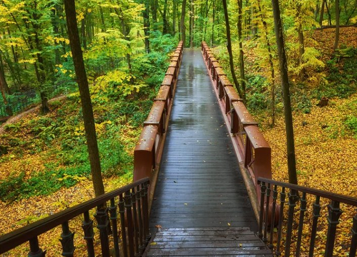 WPC Manufacturer Outdoor Wood Flooring Garden Swimming Pool Floor