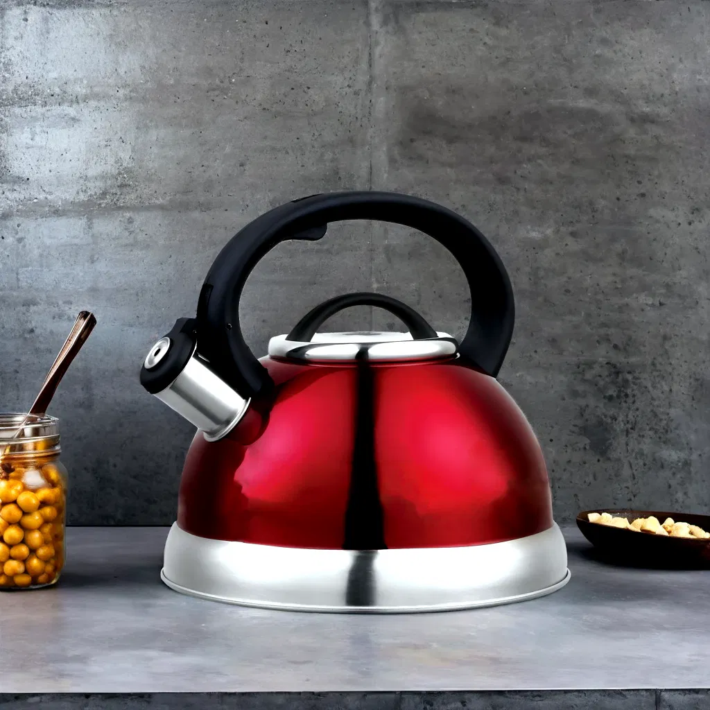 Large Capacity Color Painting Whistling Pot Stainless Steel Teapot Water Kettle