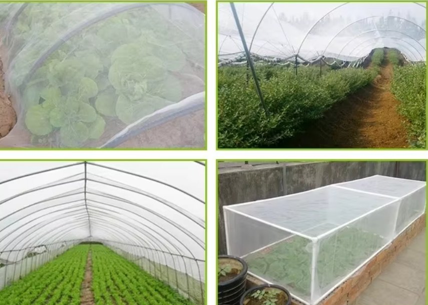 Insect Netting Mosquito Screen Agriculture Insect Net Mesh
