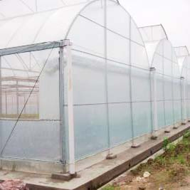 Manufacture Hot DIP Galvanized Steel Garden Hydroponics Green House with Insulation System