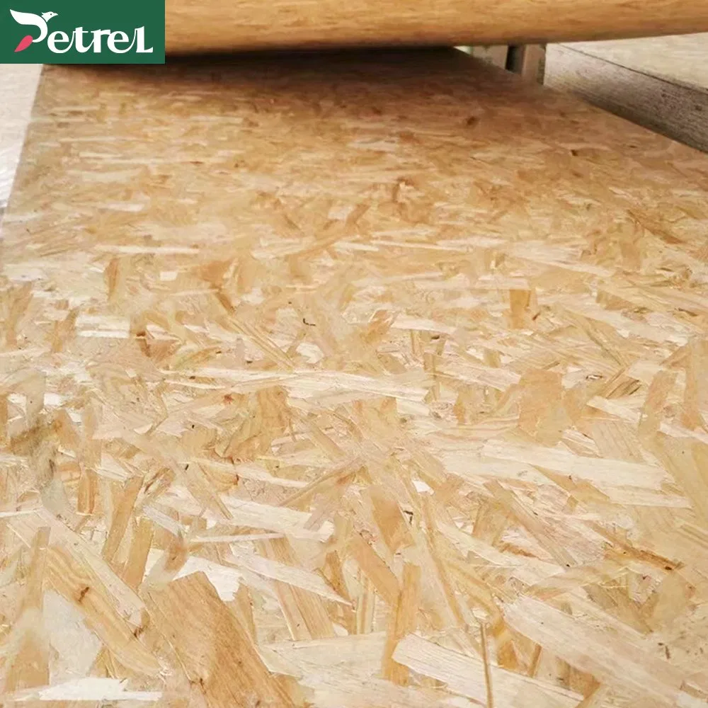 Sustainable Premium OSB Board for Stylish Home Interiors