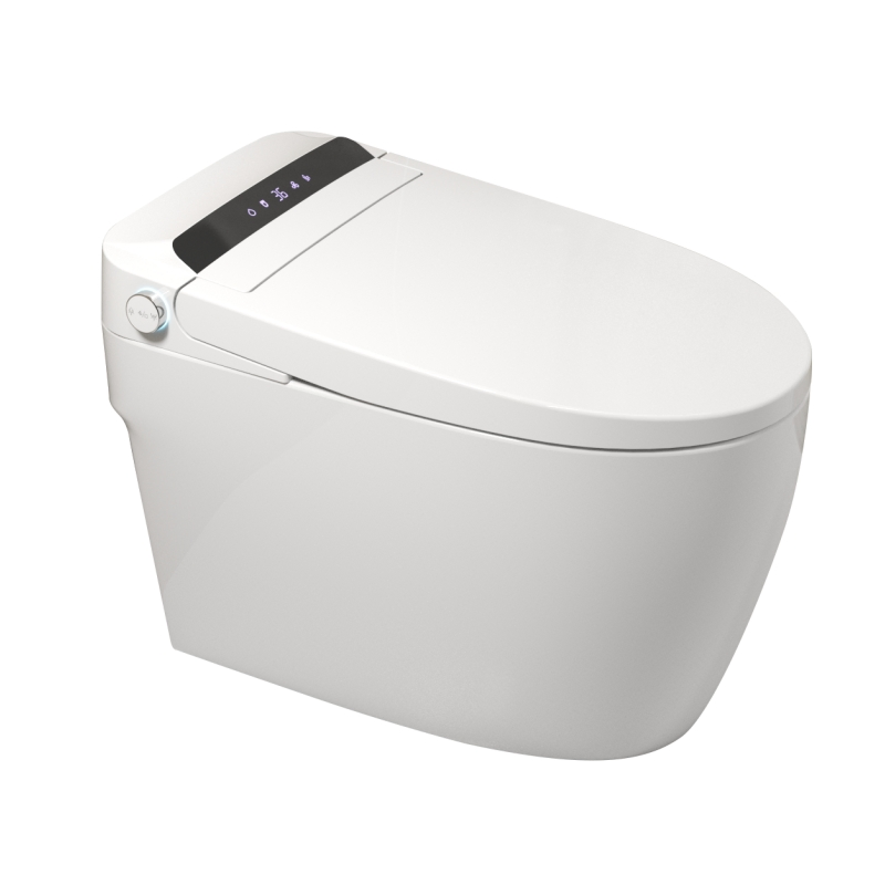 Simple, Hot Selling, Fashionable Ceramic Floor Standing Intelligent Toilet