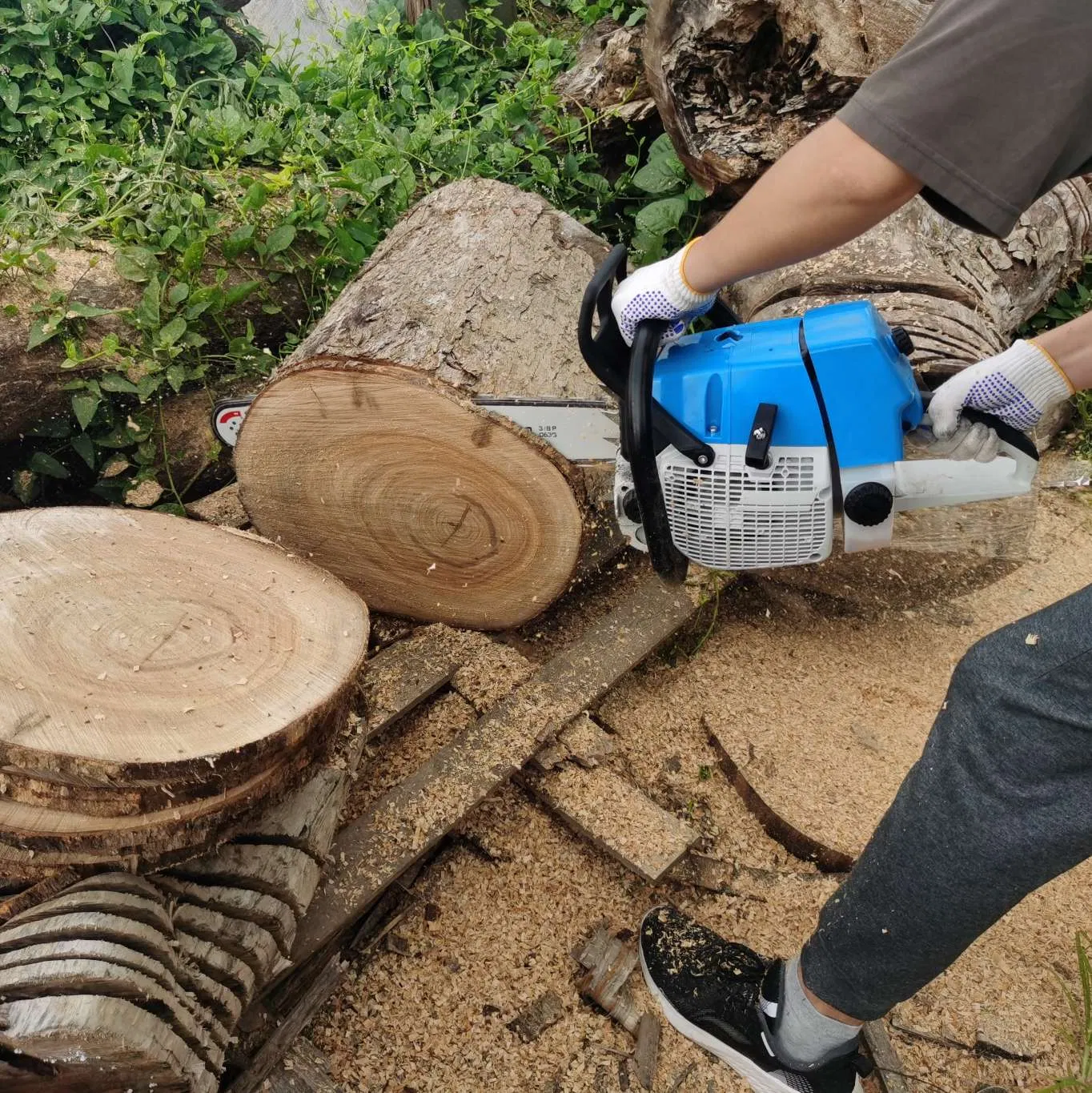 Professional Big Power Gasoline Chainsaw 660 with 36inch for Forest Protection