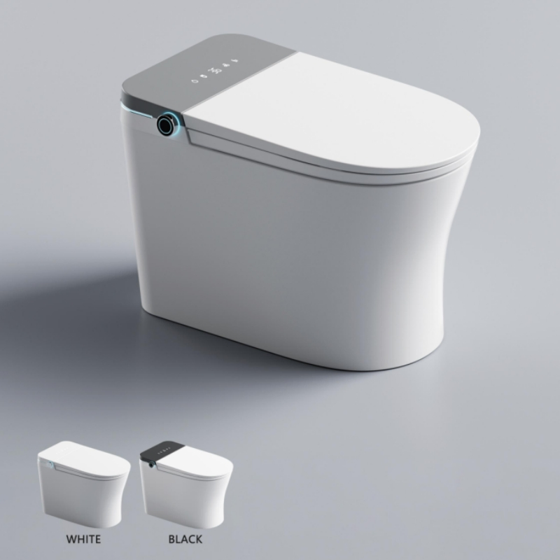 Very Simple, Popular and Fashionable Ceramic Intelligent Toilet