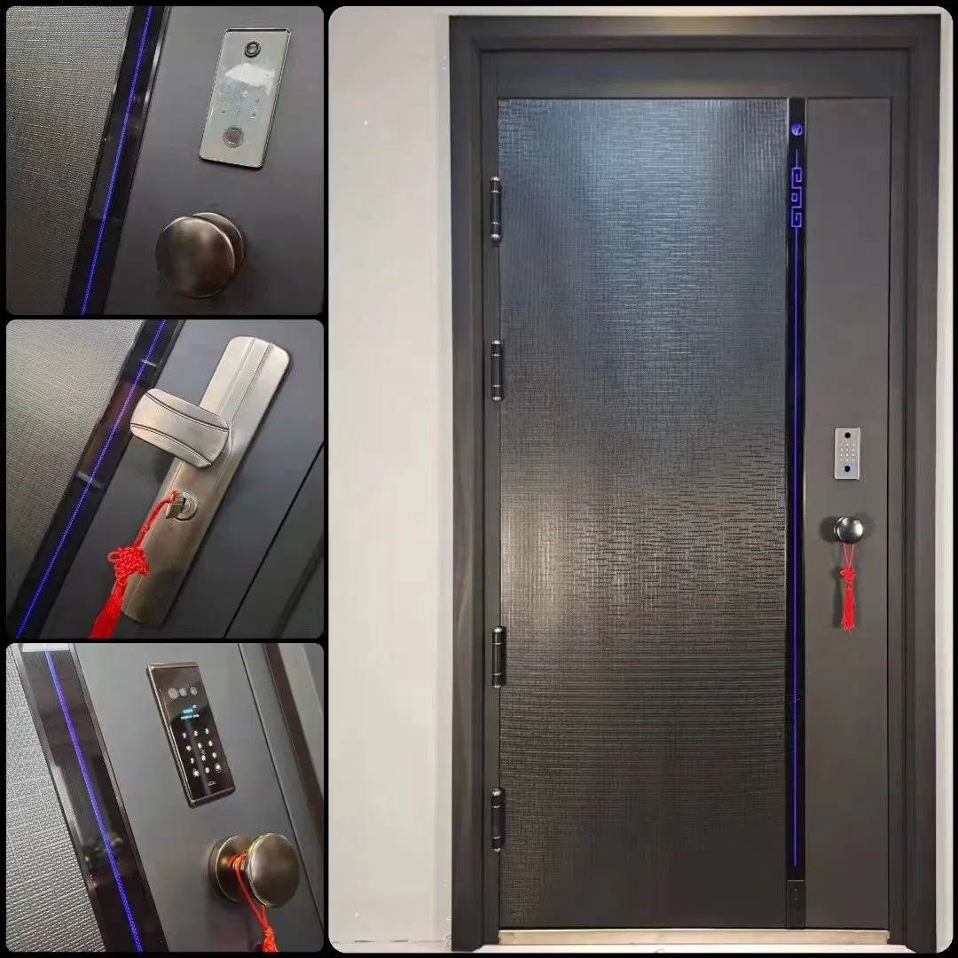 Best Price Europe Security Steel Entry Door with Aluminium Strip Main Entrance Door