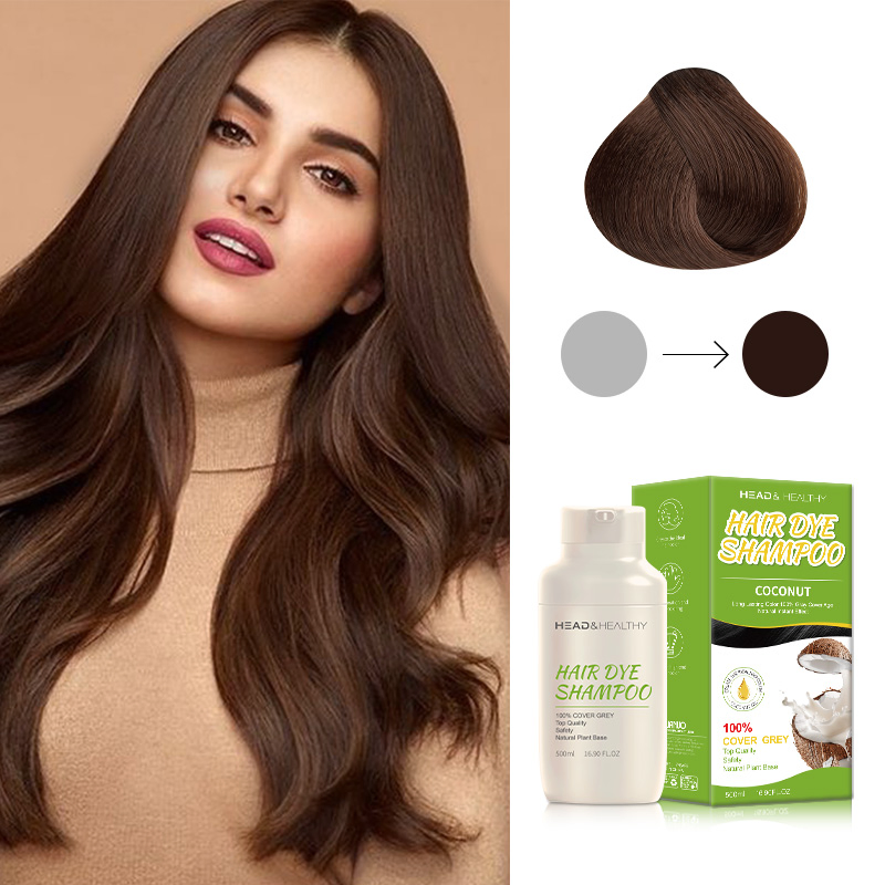500ml Hair Dye Shampoo - Cinema Speed Argan Oil for Black Hair
