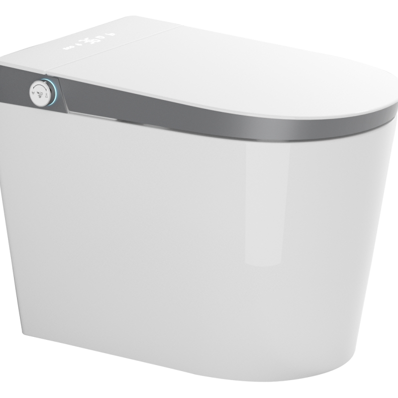 Simple and Popular Fashionable Ceramic Remote Control Intelligent Toilet