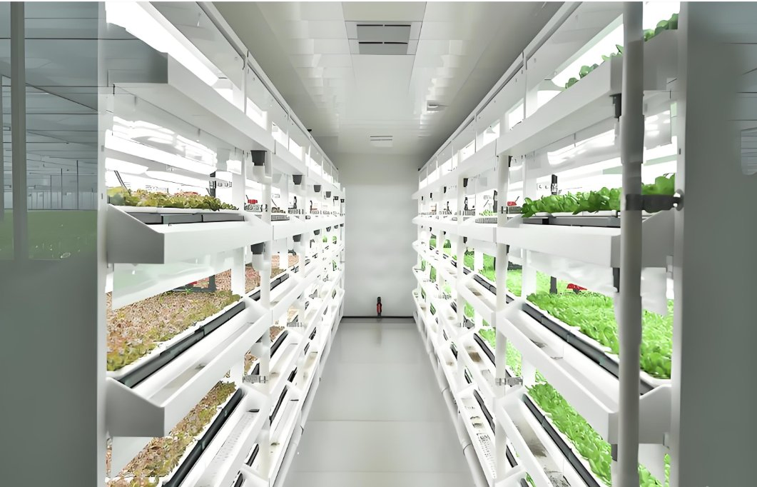 40FT Vertical Hydroponic Growing Farming Container Plant Factory Shipping Container with Intelligent Control System