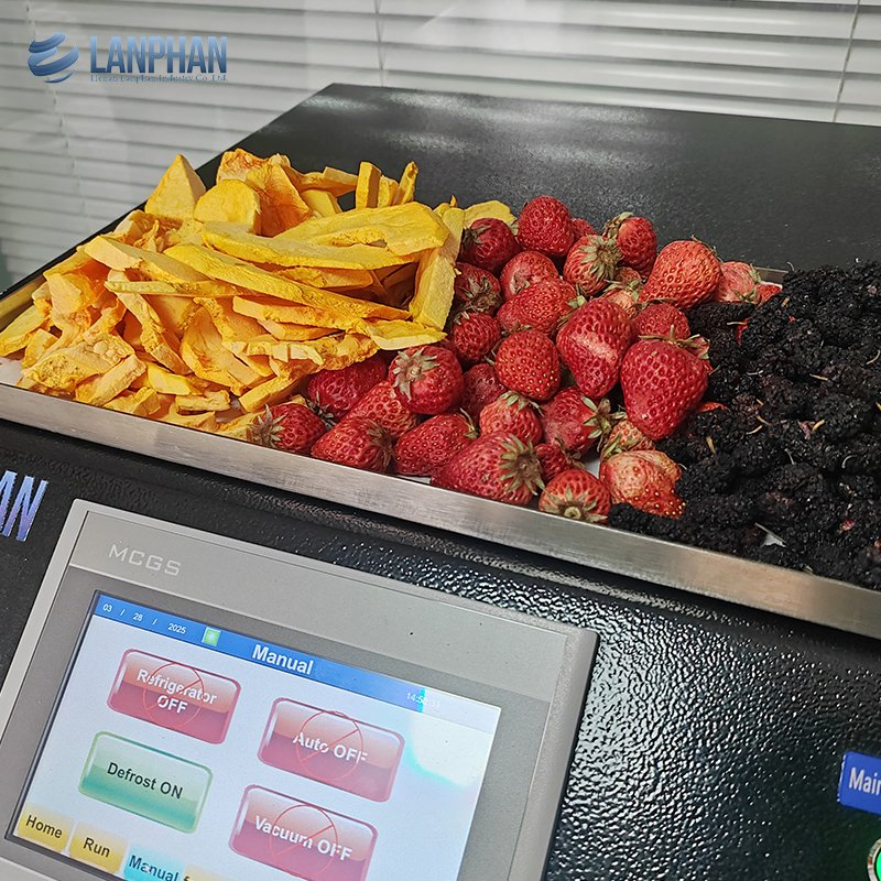 Home Use Food Fruit Vegetable Candy Liofilizador Lyophilizer Machine