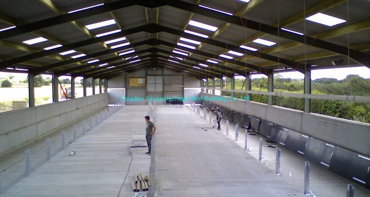 Durable Prefab Light Steel Structure for Industrial Farm Sheds