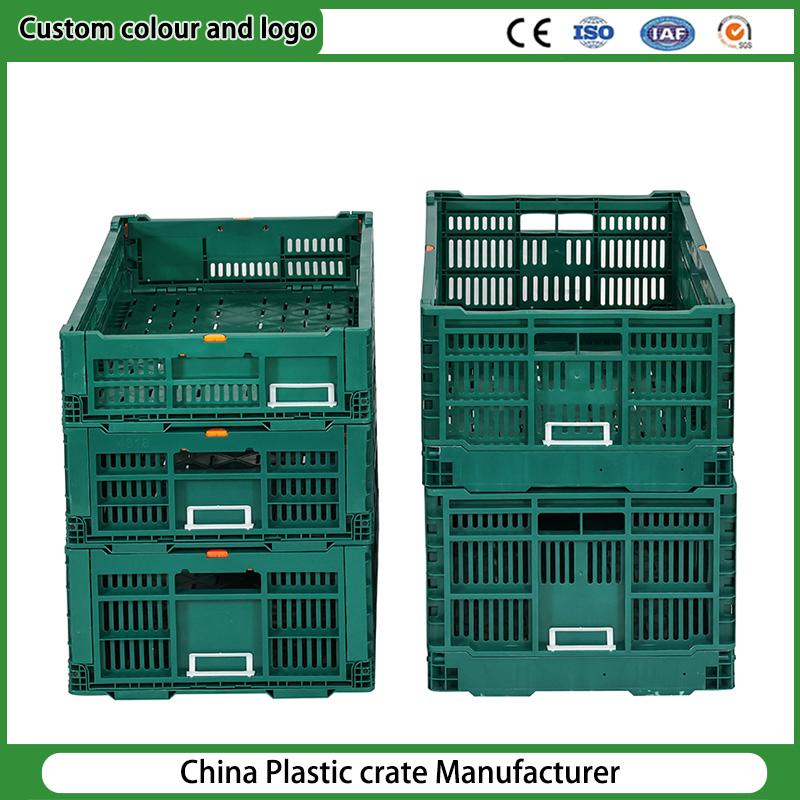 100% PP Material Collapsible Plastic Food Container Nestable and Stackable Vegetable Harvesting Foldable Transport Plastic Crates