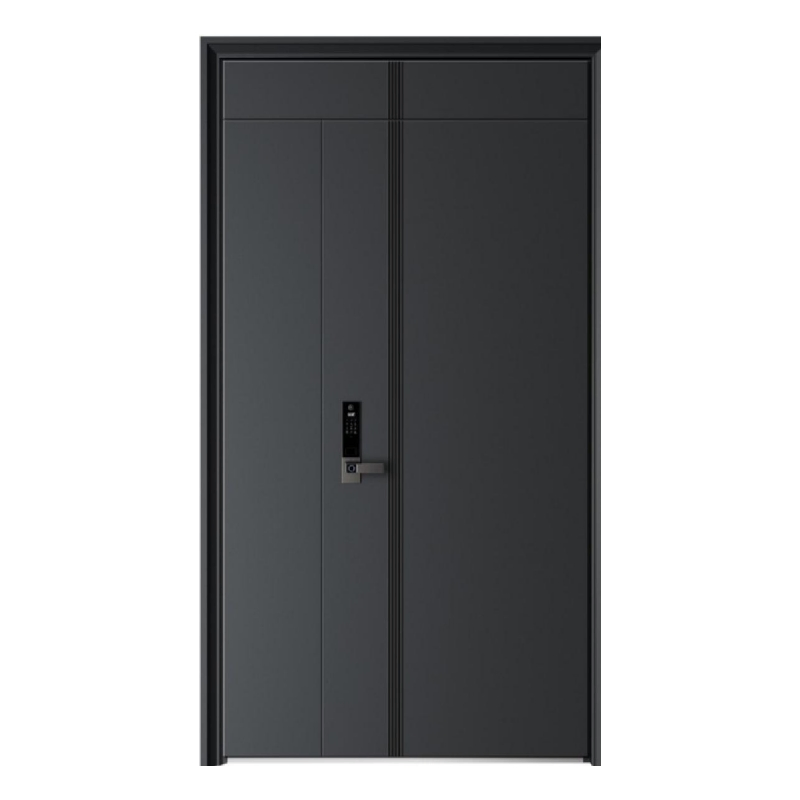 Современная входная дверь из алюминия, противопожарная