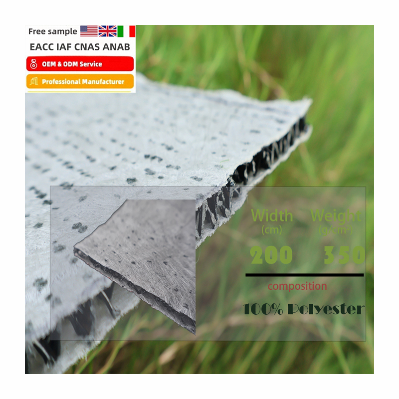 Geogrid 3D Reinforced Geonet for Erosion Control in Harsh Environments.