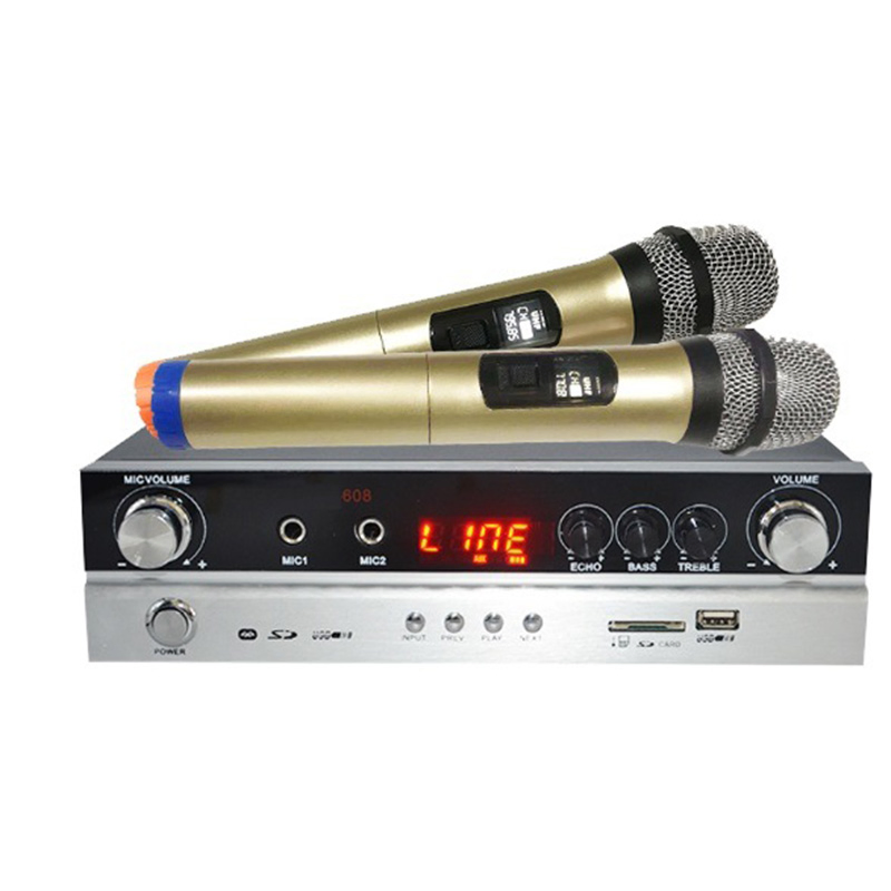 High Quality Digital Amplifier with Wireless Microphone USB Bluetooth