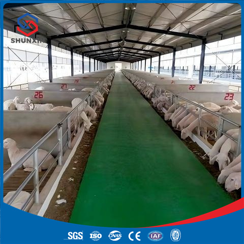 Durable Fast Build Steel Frame Goat Shelter for Livestock