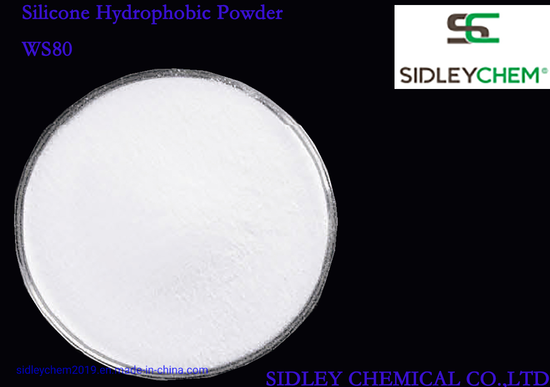 Silicone Hydrophobic Powder (WS80) for Concrete