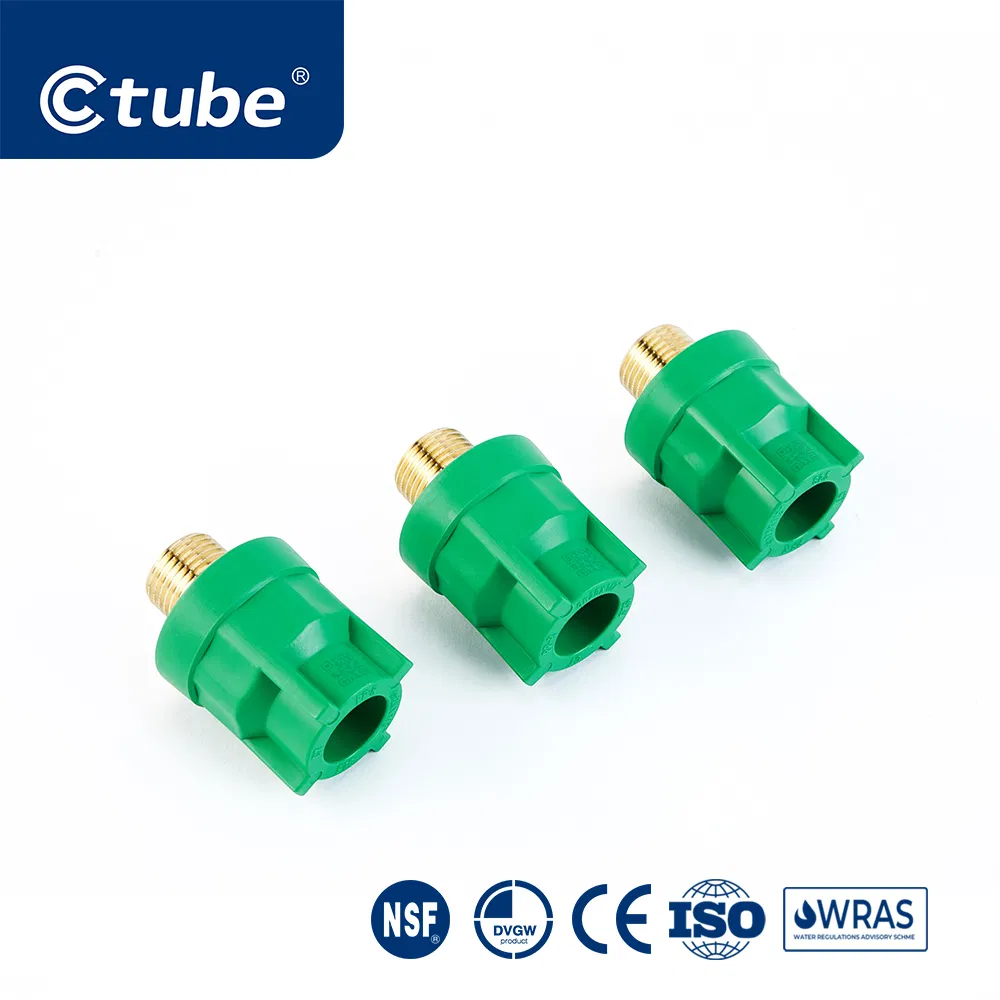 Ctube Durable PPR Male Reducer Couplings for Secure and Leak-Proof Transitions