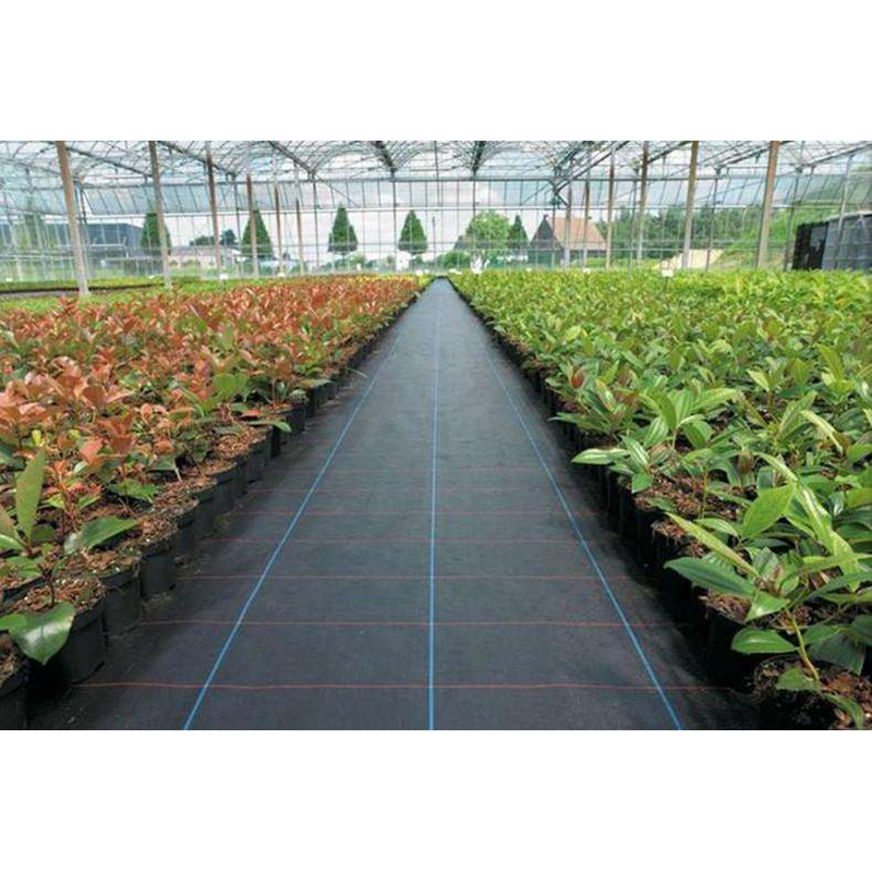 Agricultural Ground Cover Mat PP Woven Weed Control Membrane for Gardens