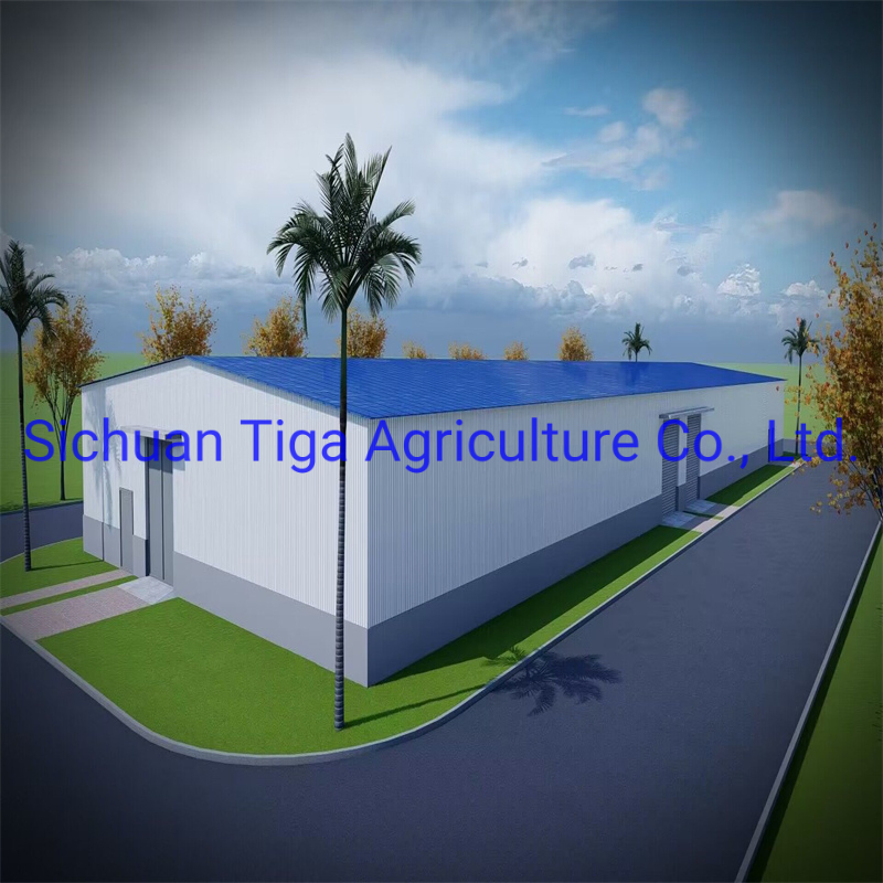 High Strength and High Seismic Resistance Fast Installation Prefabricated Steel Structure Building
