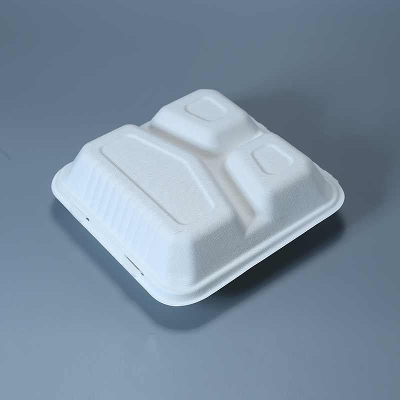 Disposable Biodegradable 3 Compartment Compostable Sugarcane Bagasse Pulp Food Container Tableware