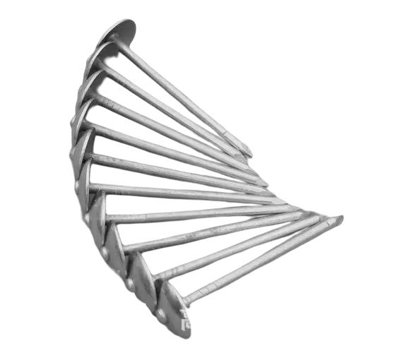 Hot Sale Galvanized Head Umbrella Roofing Nail for Building