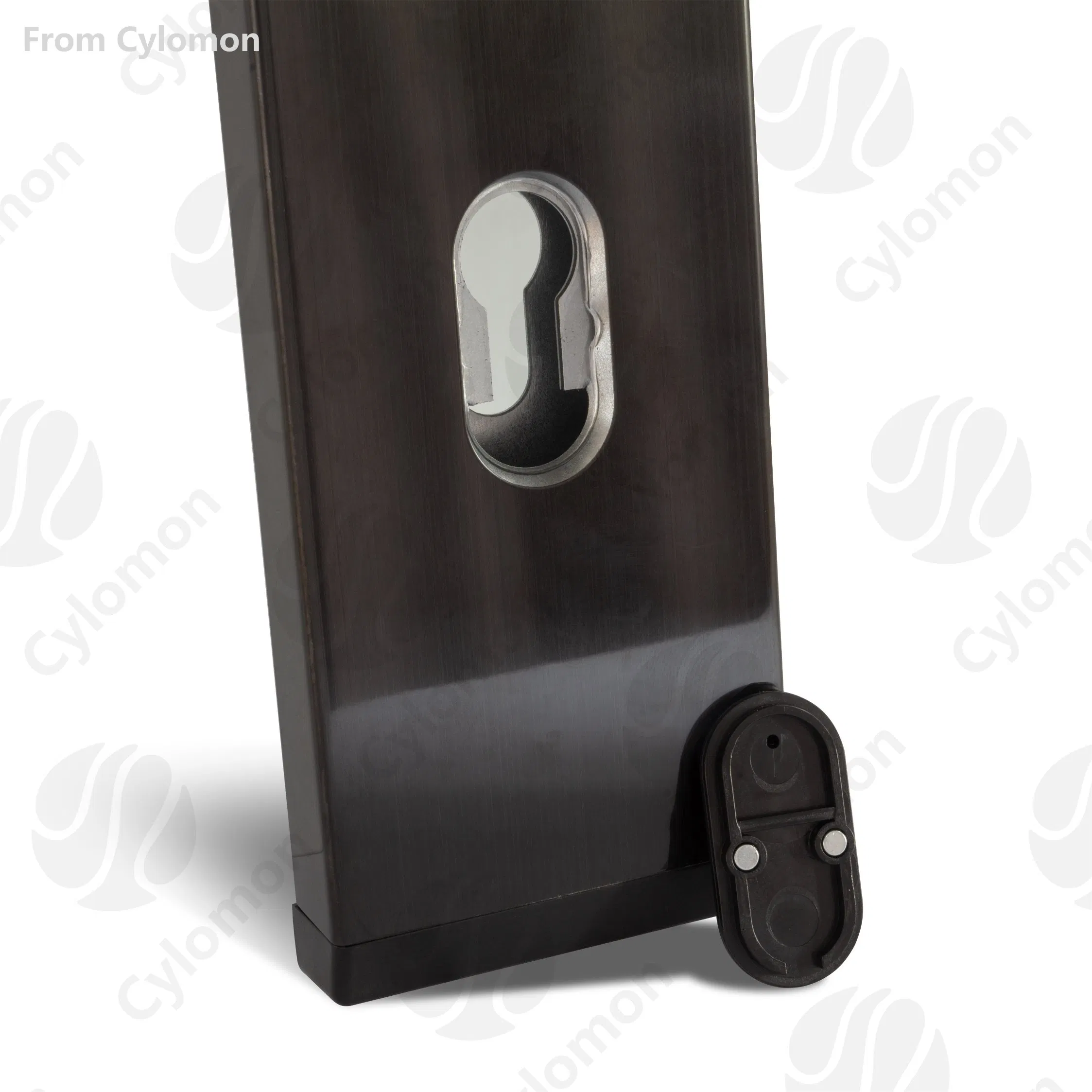 China Factory High Quality Keyless Electric Support Wholesale Magnetic Card Electric Aluminum Alloy Smart Lock