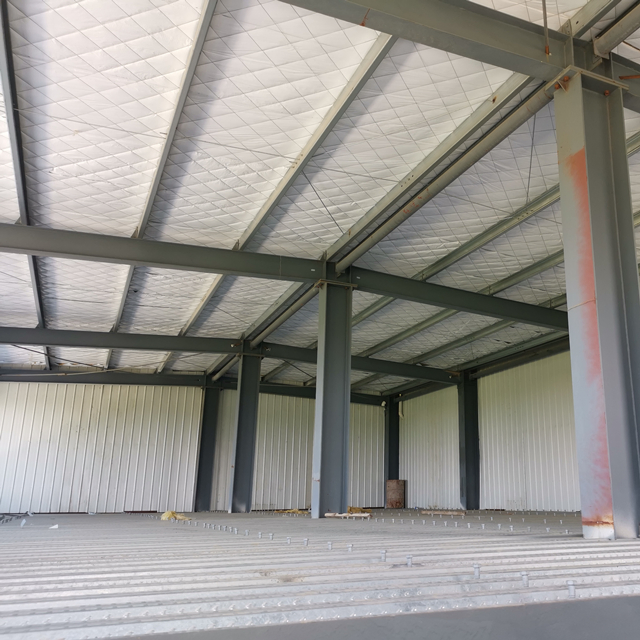Light Construction Prefabricated Steel Structure Project Building for Industrial Warehouse Workshop