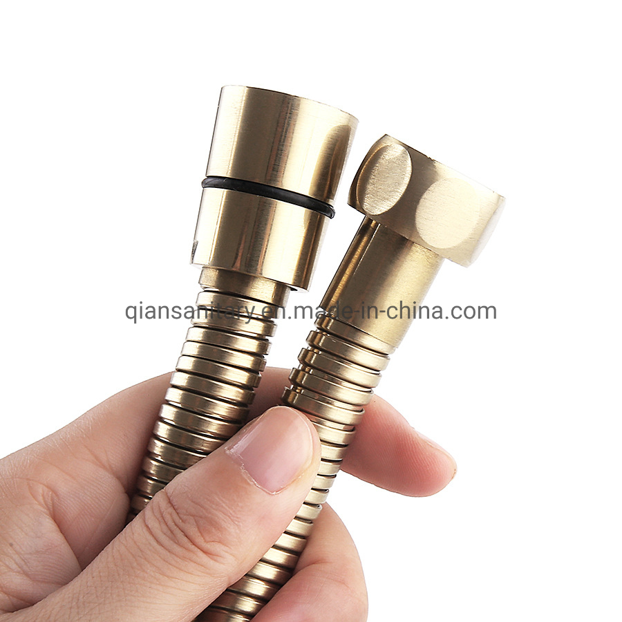 Stainless Steel Ti-Gold Double Lock Shower Hose