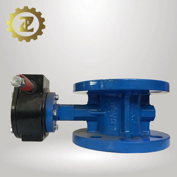 CF8m Disc Double Flanged Butterfly Valve with Worm Gear