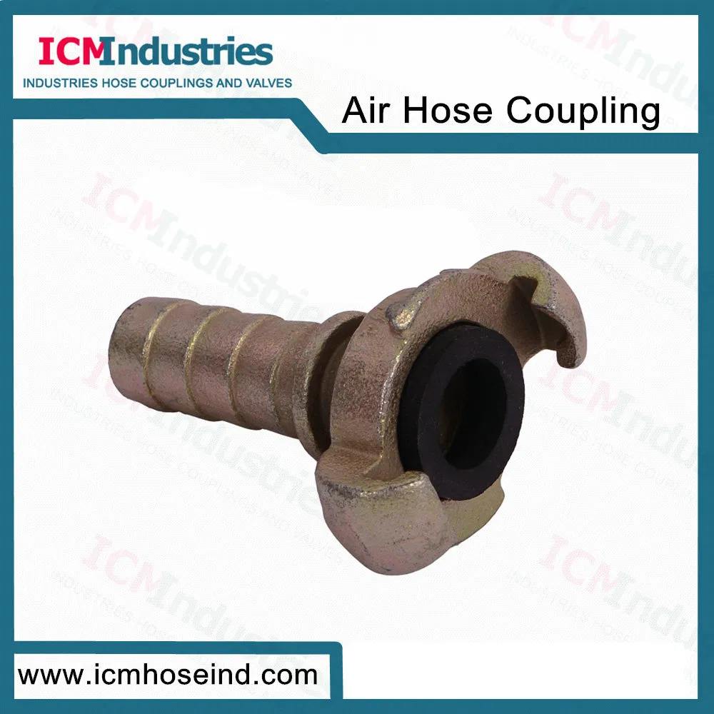European 3/8′ ′ Bsp Thread Quick Coupler Hose Connector
