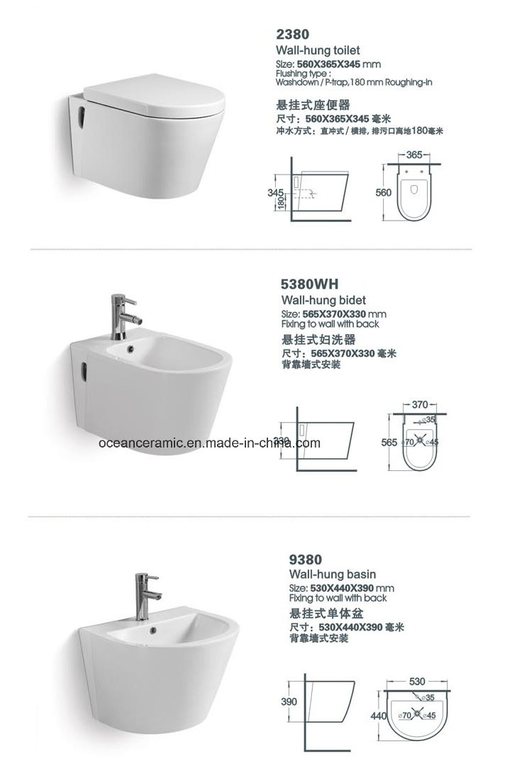 Cc-103 Concealed Cistern with Steel Frame for Wall Hung Toilet