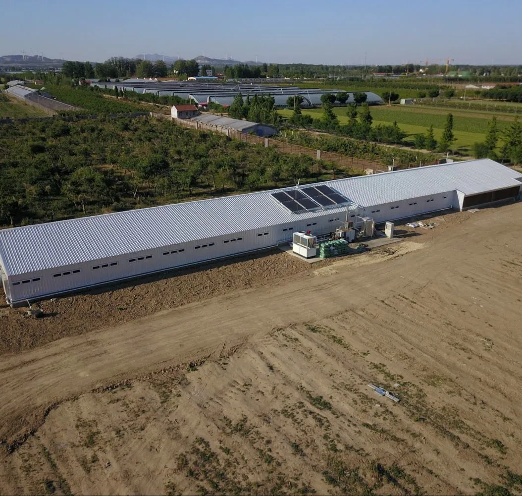Prefabricated Steel Structure Poultry Farm Livestock Chicken House Coop Shed