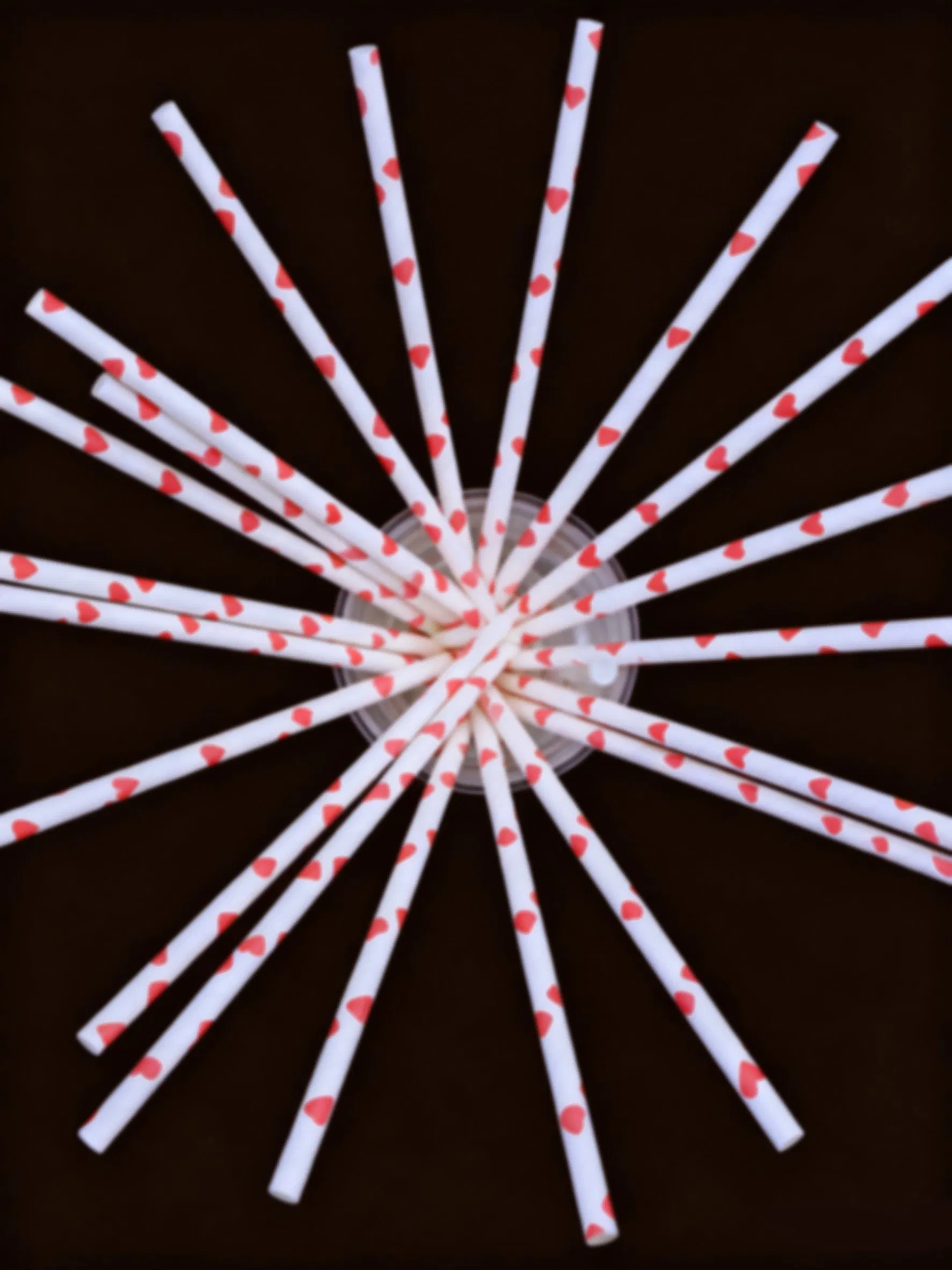 Garden Tea Party Heart Printed Paper Wrapped Eco Friendly 7 Inch Paper Straws