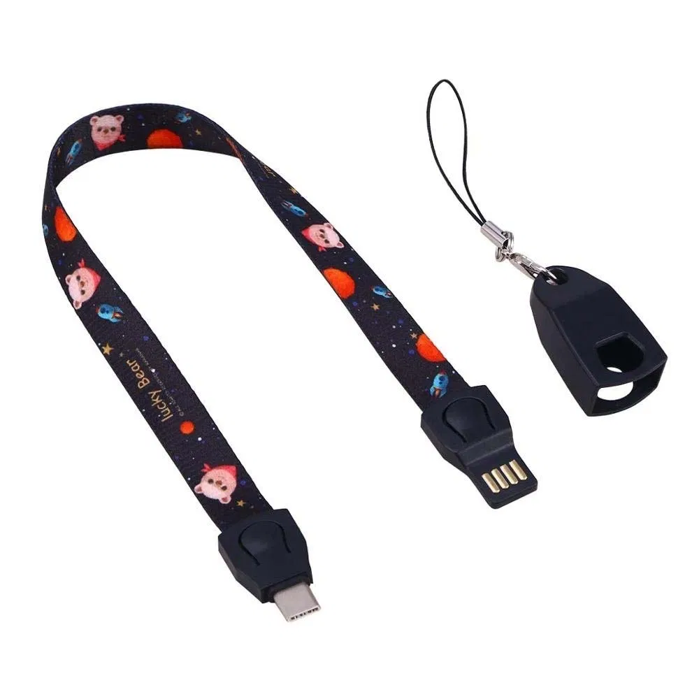 Rt-Mc49 Customized Logo Cartoon Lanyard Type-C USB Charging Data Cable