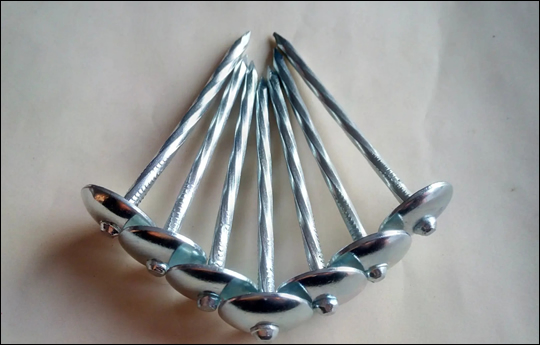 Galvanized Smooth Shank Roofing Nails with Umbrella Head
