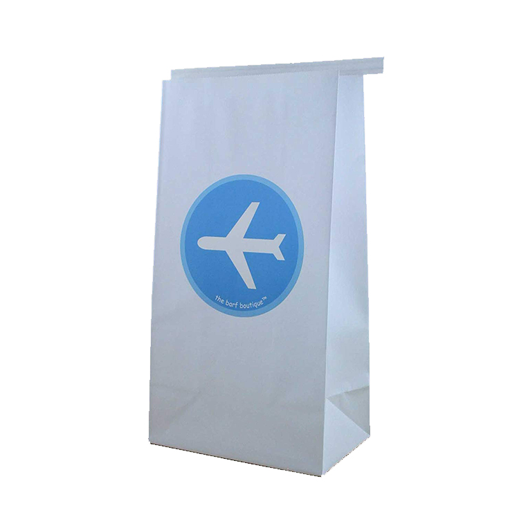 Square Bottom Airplane Vomit Paper Bag with Logo Print