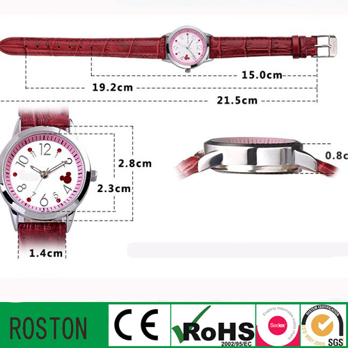 Quartz Movement Water Resistant Fashion Lady Gift Watch