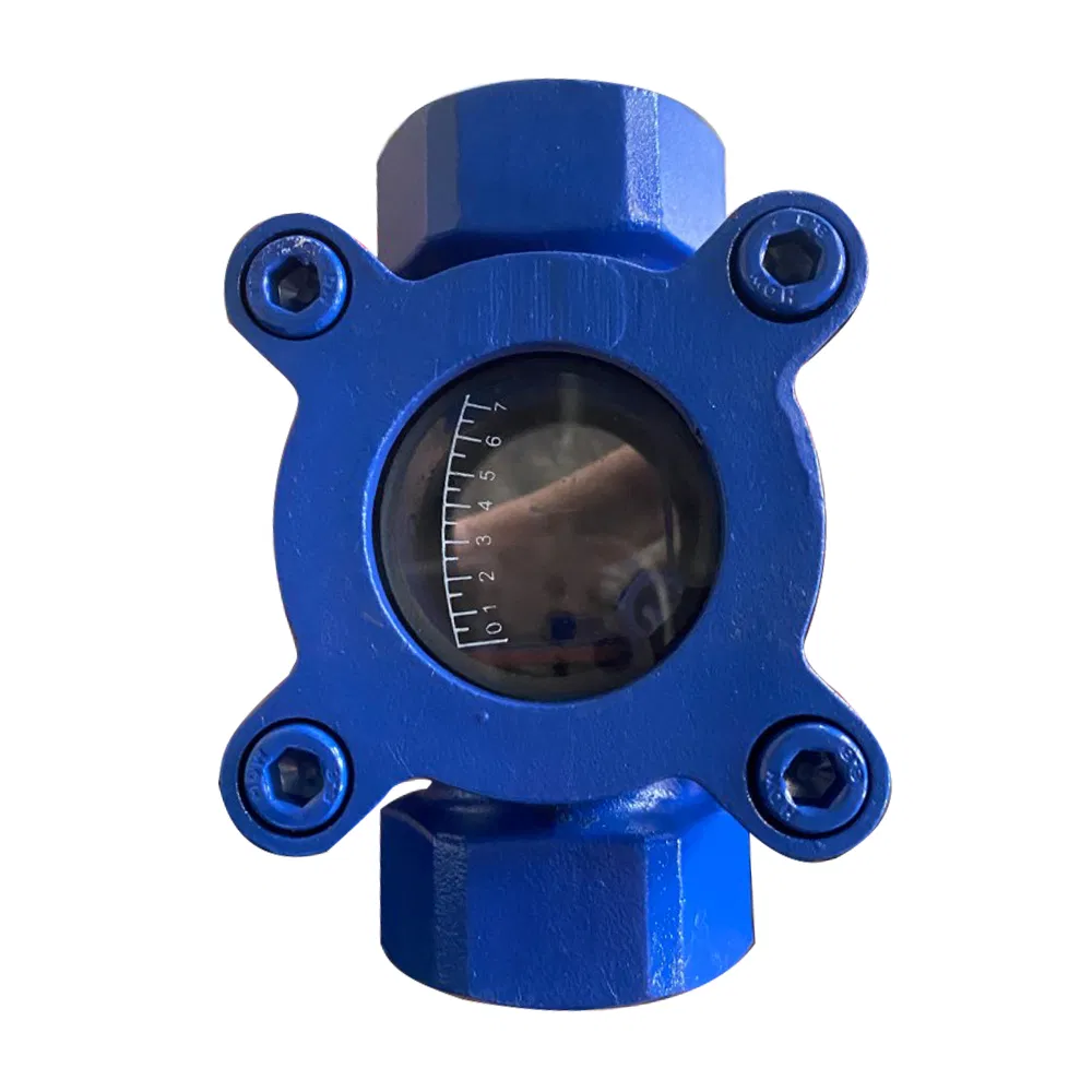 Paddle Wheel Flow Sight Glass 316 Stainless Steel, PTFE Seal and Impeller