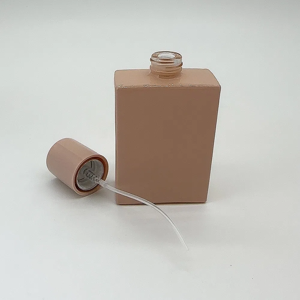 50ml 80ml 100ml 120ml Cosmetic Plastic Airless Lotion Bottle 30ml Lotion Pump