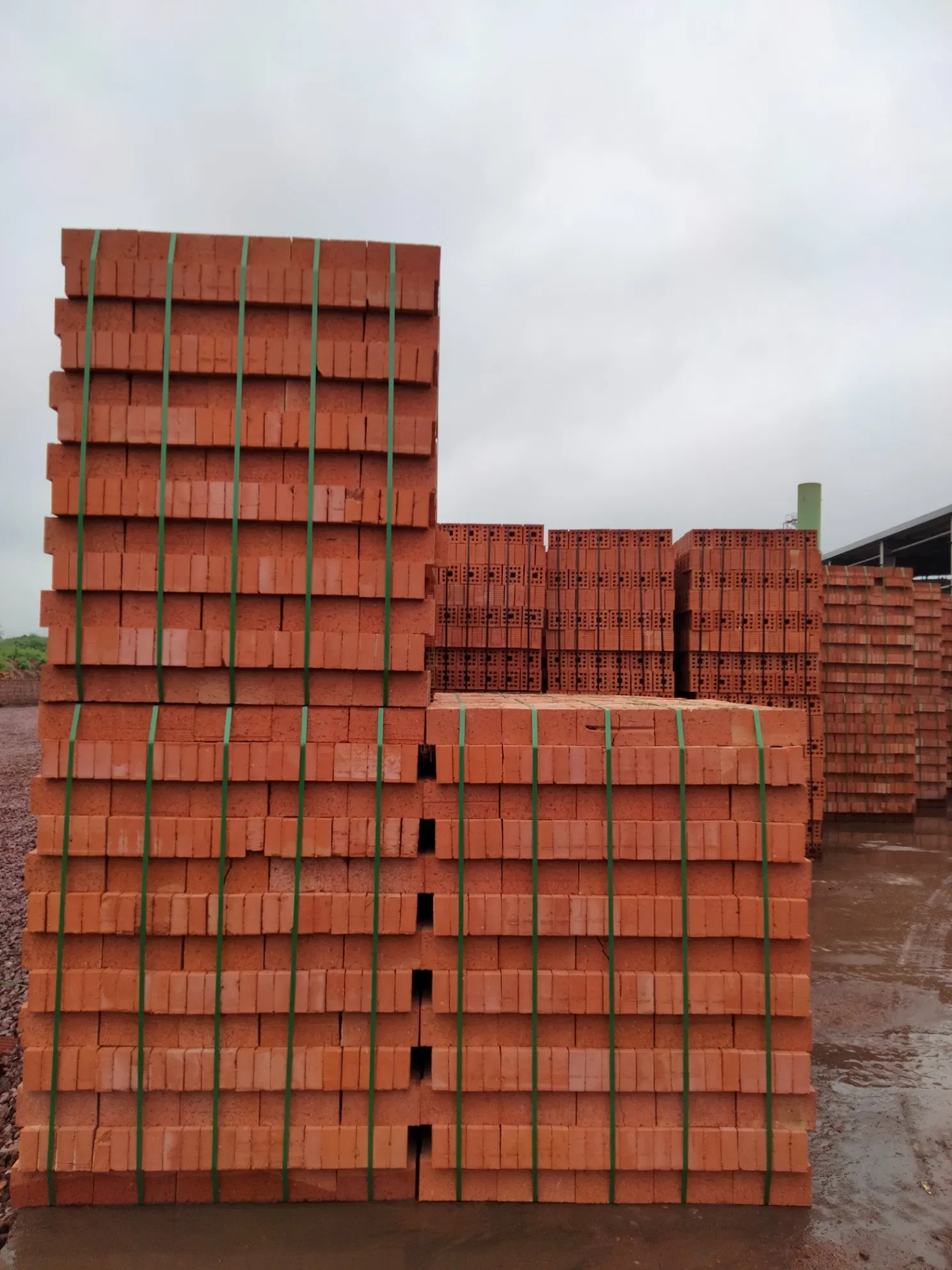 Red Clay Common or Face Brick Making Machine Equipment