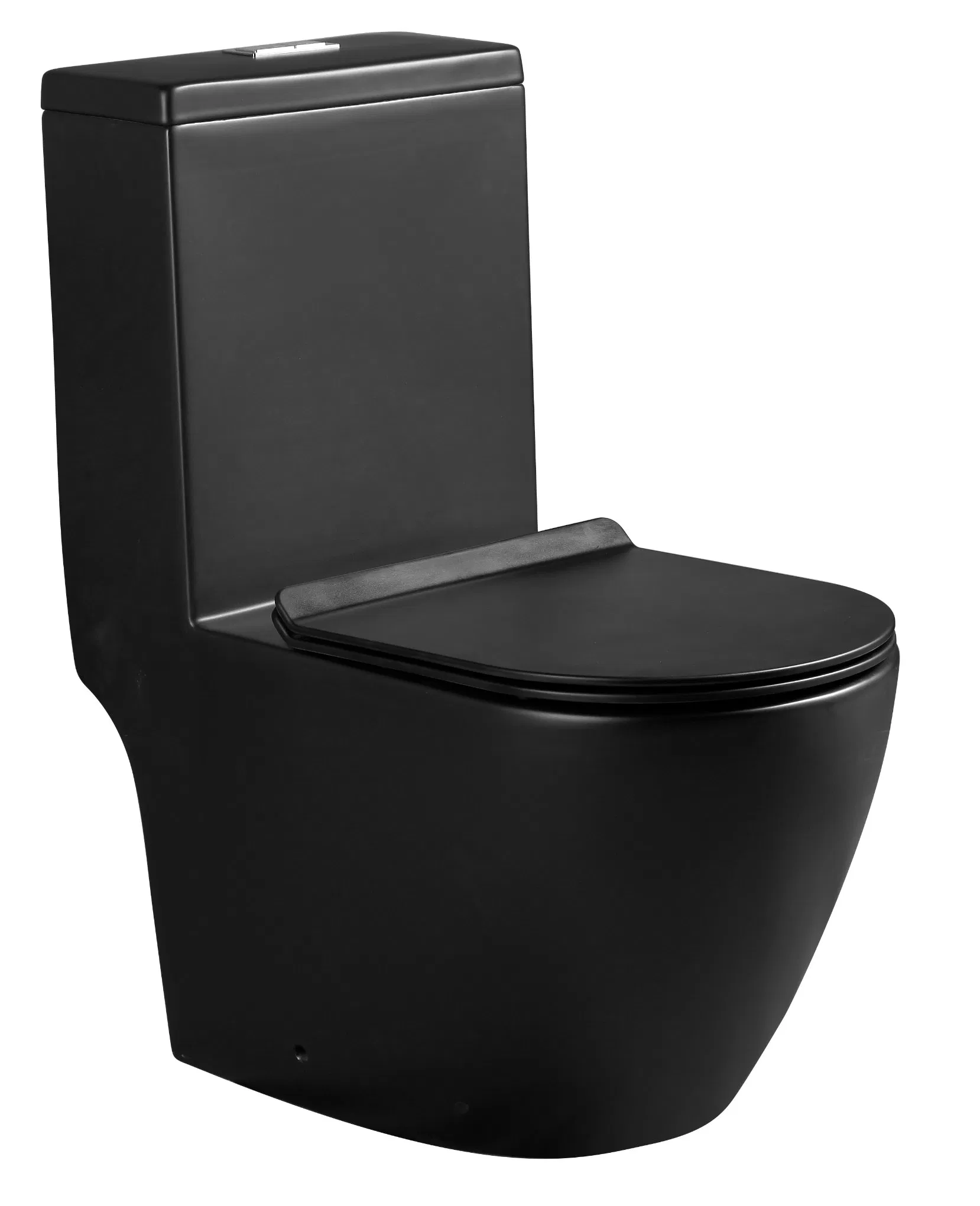 Modern Design Washdown Bathroom Sanitaryware Wc Matte Black One-Piece Toilet