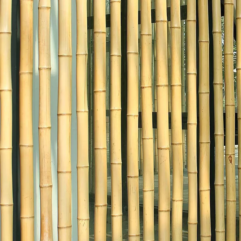 Large Bamboo Poles for Gardening - Natural Thick Stakes, Heavy Duty & Professional