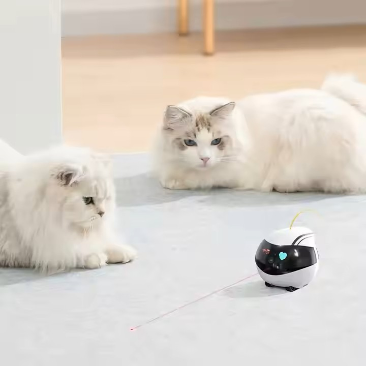 Autonomous Mobile Intelligent Pet Companion Robot with Camera Voice Control