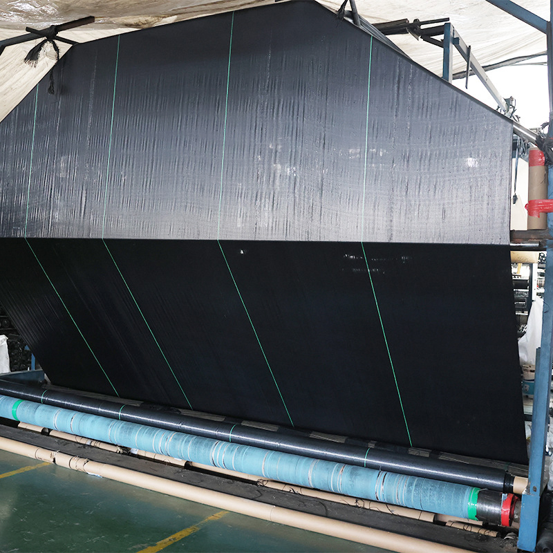 High-Strength PP Woven Geotextile for Effective Erosion Prevention