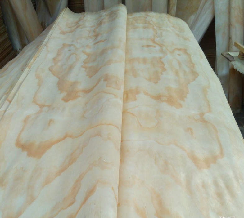 Dry Grade a 0.5mm Rotary Cut New Zealand Radiata Pine Wood Face Veneer Without Nut for Furniture