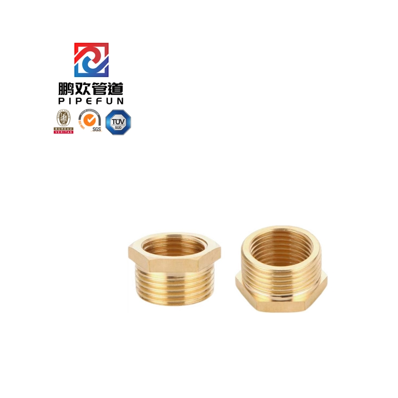 High Pressure Brass Steel Forged Thread Hex Head Bushing