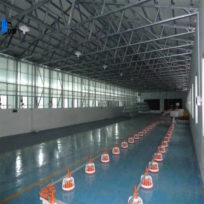 Steel Structure Poultry Farm, Modular Laying Hen House, Hen House Facilities