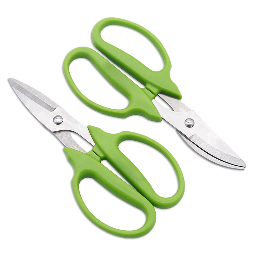 Grape Trimming Bonsai Scissors Pruner for Seedlings and Garden Trees